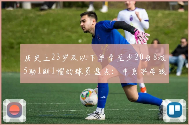 历史上23岁及以下单季至少20分8板5助1断1帽的球员盘点：申京字母狼王等人